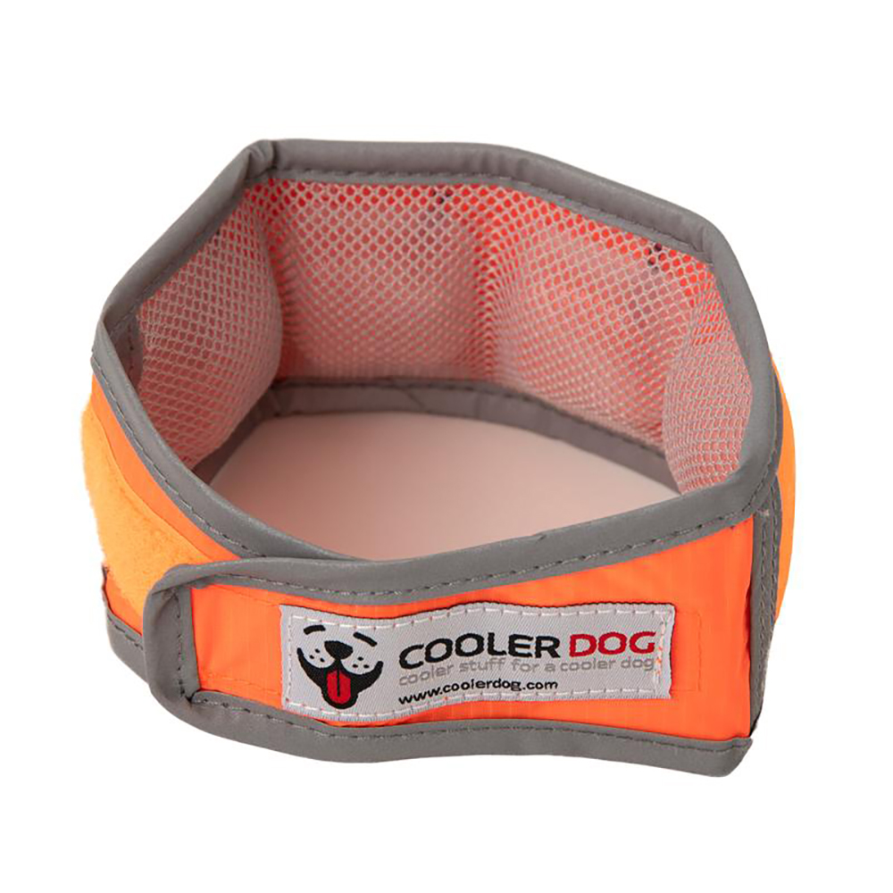 High vis best sale dog collar