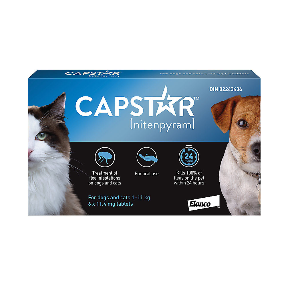 Kane Veterinary Supply Capstar Fast Acting Oral Flea Treatment Dog Cat