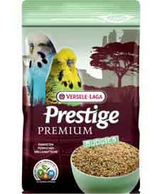 Premium Seed - Budgie